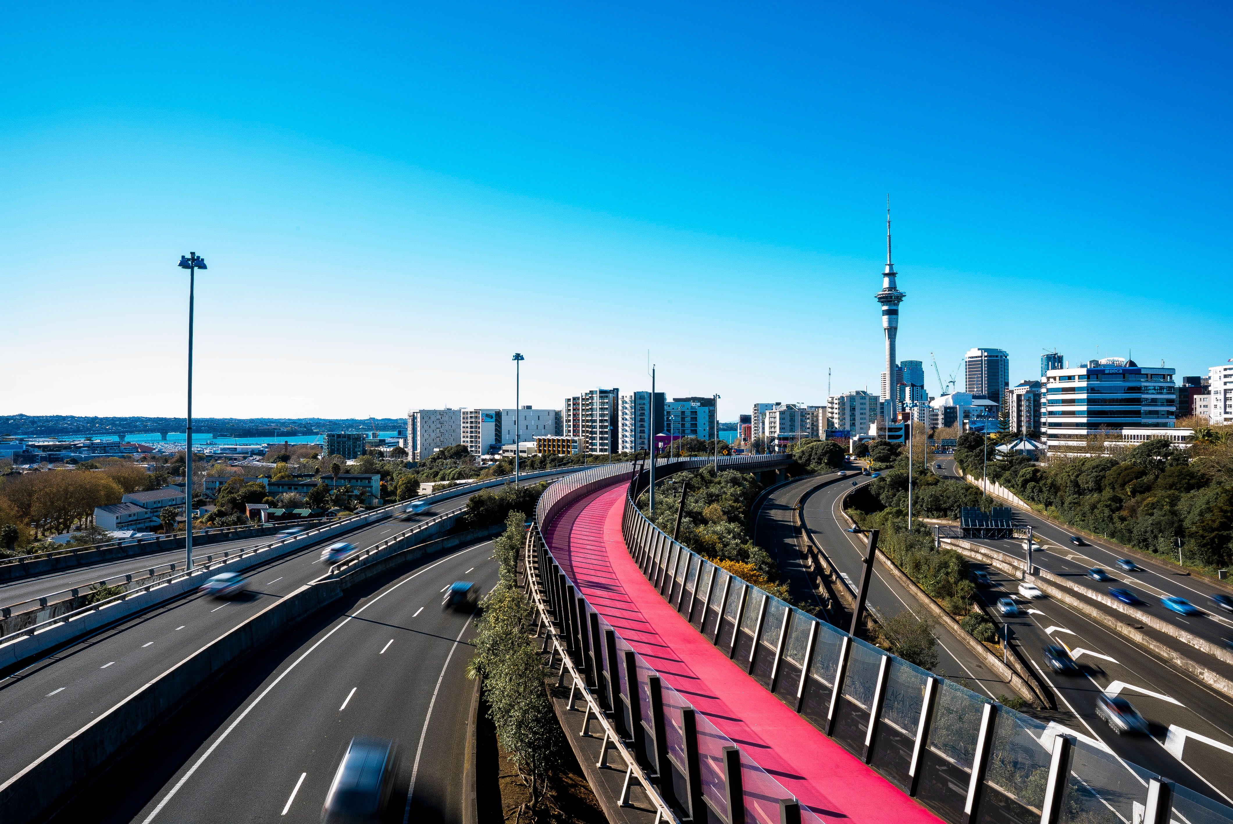 On-road driving lesson in Auckland